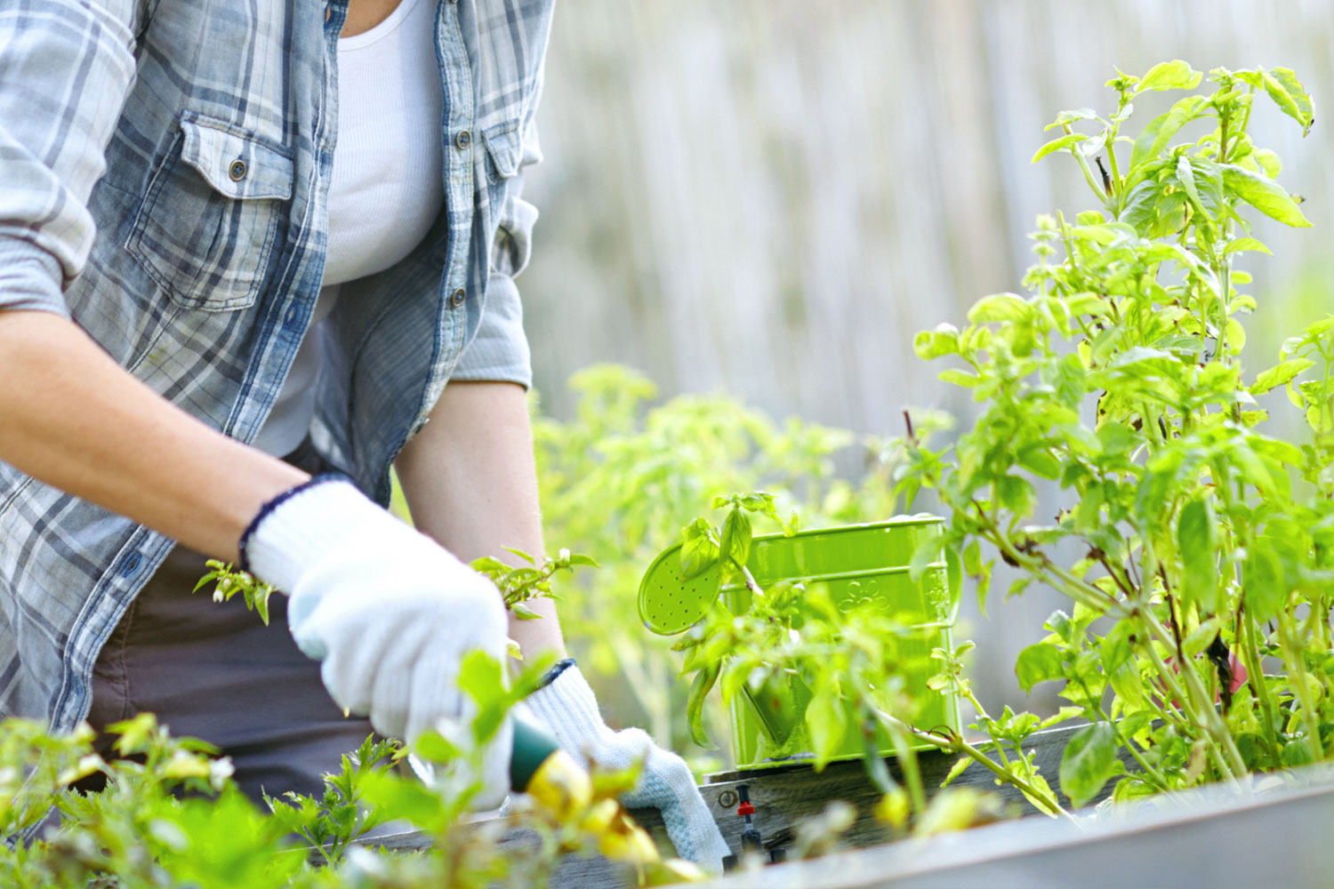 Gartenpflege, Haushaltshilfe für Senioren, Seniorenbetreuung Wetter Ruhr, Witten, Hagen, Herdecke